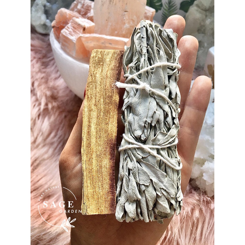 SET KHỞI ĐẦU_1 Xô 10cm và 1 thanh Palo 5g_SAGE GARDEN
