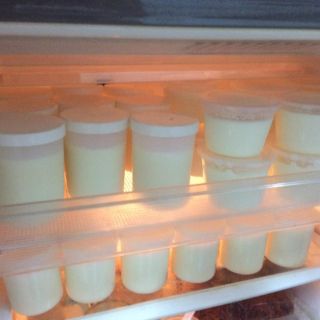 Máy ủ sữa chua