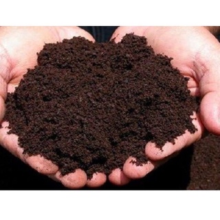 Phân Trùn Quế Hữu Cơ SFARM Nguyên Chất (Gói 2kg)