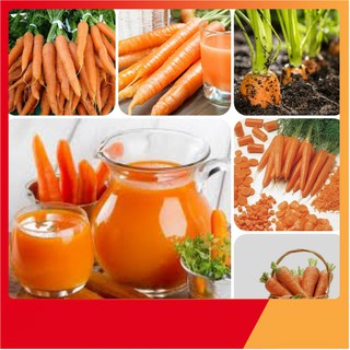 Hạt Giống Cà Rốt F1
