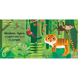 Sách - Anh: Zoology For Babies