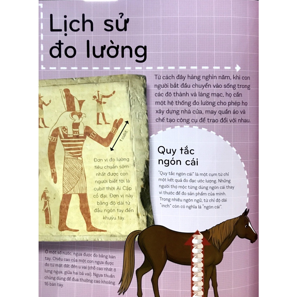 Sách - Toán Học Khắp Quanh Ta - Nào Cùng Đo Mọi Thứ