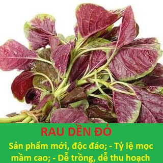 Hạt Giống Rau Củ Quả 4 Mùa ✔️Hạt giống rau dền, Dền đỏ, Dền Xanh, Dền Gai, Dền ba màu gói 10-