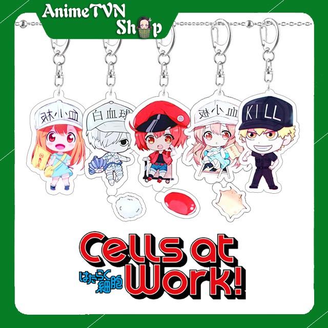 Móc khoá Mica anime Hataraku Saibou - Cells At Work (Loại Treo nhân vật) Nhựa Cứng Acrylic In 2 mặt sắc nét ( ảnh thật )