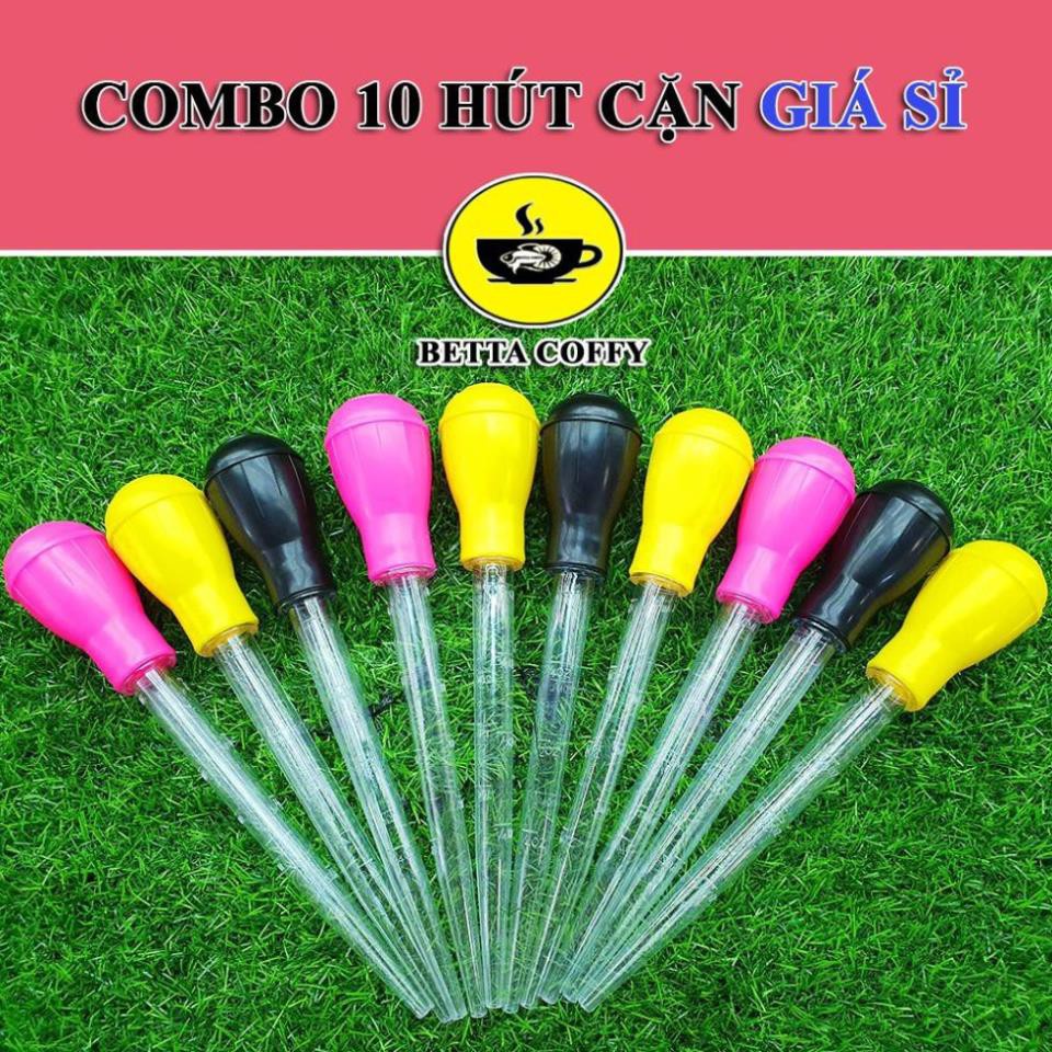 Trang trí hồ GUPPY thuỷ sinh 9k-15k