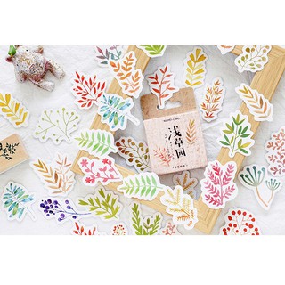 Hình dán trang trí sticker chủ đề thực vật sắc màu STK032