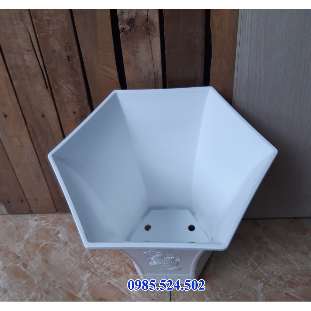 combo 2 Chậu nhựa lục giác hoa văn 4 chân phúc lộc thọ cao cấp trồng hoa tết