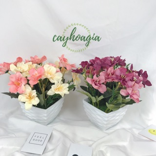 Chậu hoa giả - chậu hoa cắm sẵn m05