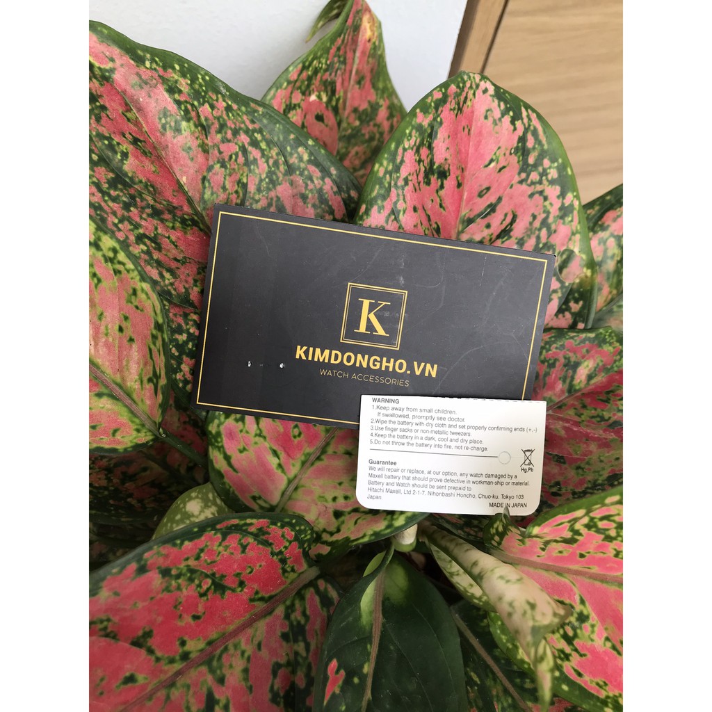 Viên pin đồng hồ Maxell 920 chuyên thay pin đồng hồ đeo tay, điều khiển các loại - SR920SW - 371 vỉ 1 viên