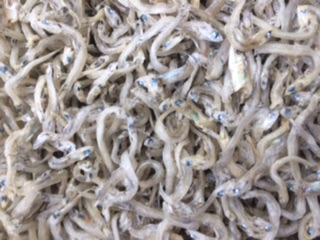 100GR - 200GR - KHÔ CÁ CƠM SỮA - ĐẶC SẢN KIÊN GIANG