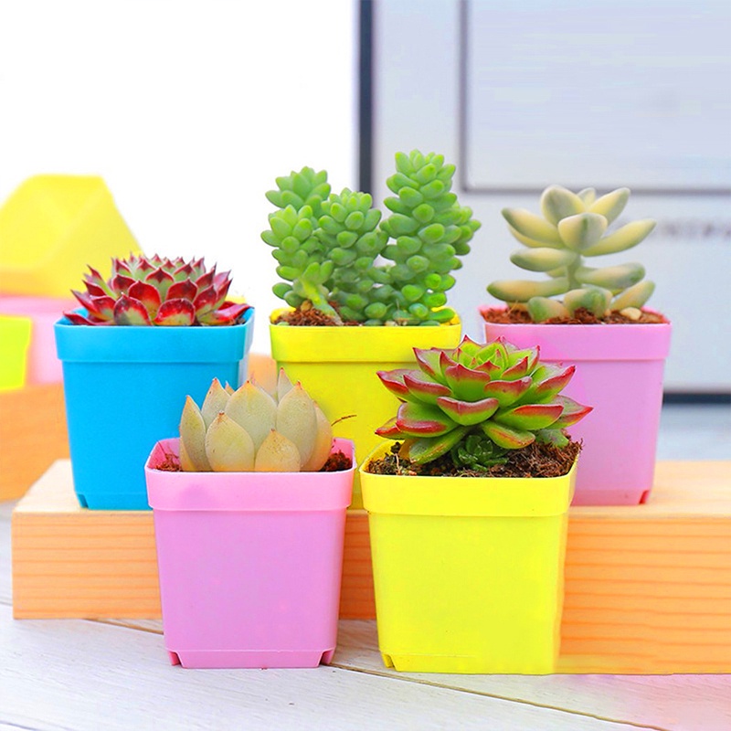 Set 10 Chậu Nhựa Trồng Cây Hình Vuông Tiện Dụng