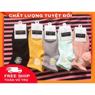 [HP9093]  Tất hoa cúc ngắn cổ nữ cực xinh - ⚠️ Giá siêu rẻ - ⚠️ ĐƠN TỪ 50K HỖ TRỢ FREE SHIP HG2810 HG2810