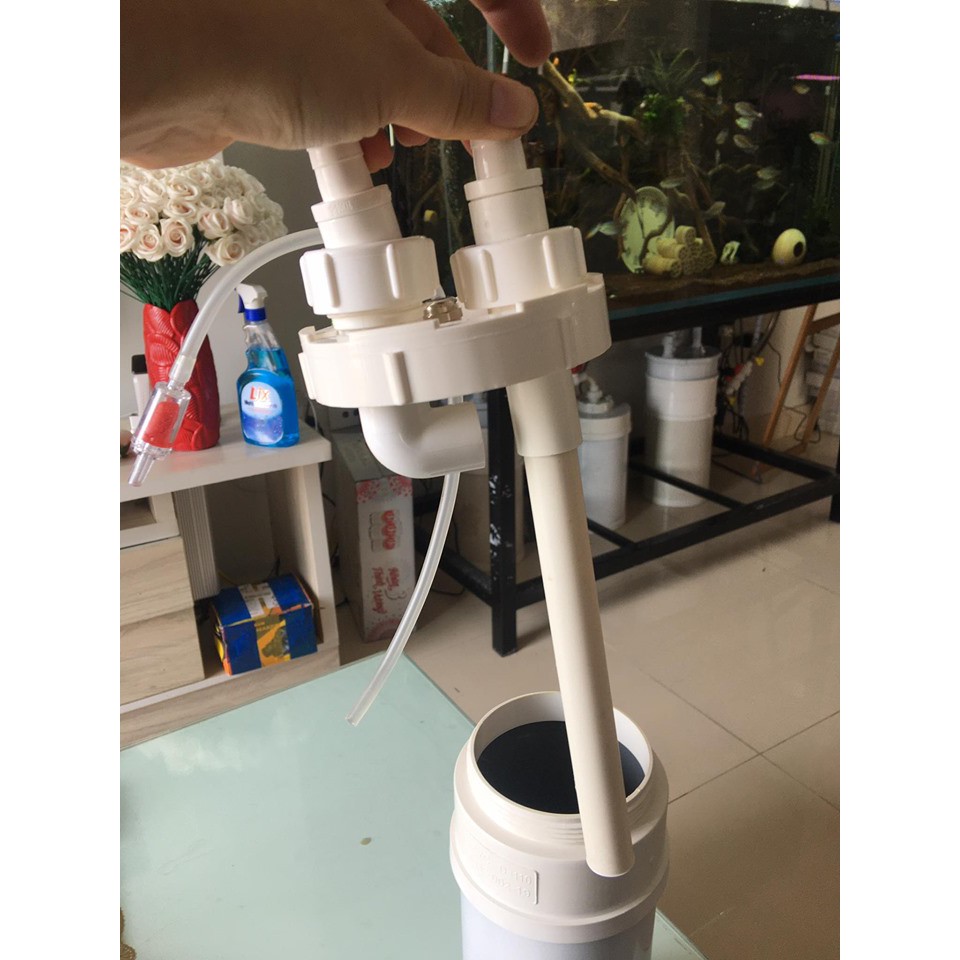 Trộn plancare co2 DYI phi 20