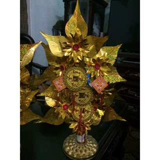Cây Ba Đồng Tiền - Cành Vàng Lá Ngọc