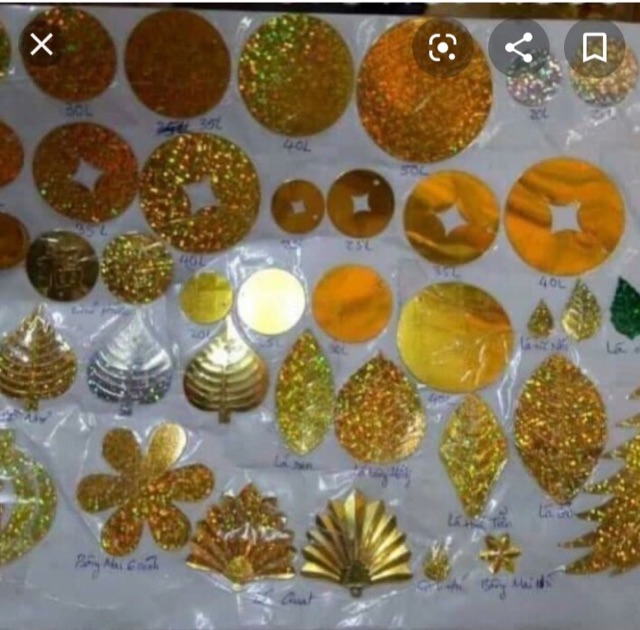 1kg lá nguyên liệu cây KIM TIỀN CÀNH VÀNG LÁ NGỌC  PHK SHOP