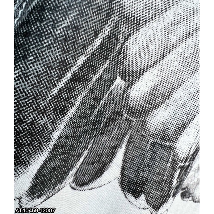 Áo phông T-Shirt Burlon Neww về đủ Full màu phục vụ AE quẩy Hè.!!