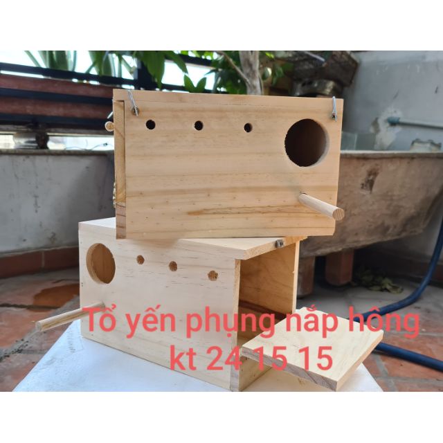 TỔ YẾN PHỤNG CỬA MỞ BÊN HÔNG (SIZE LỚN) -THÔNG NHẬP KHẨU NGUYÊN KHỐI.