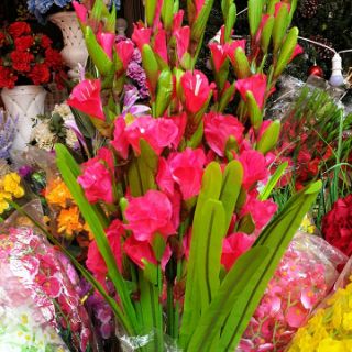 Hoa dơn lụa