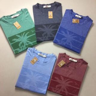 Áo thun nam cổ tròn Hollister họa tiết