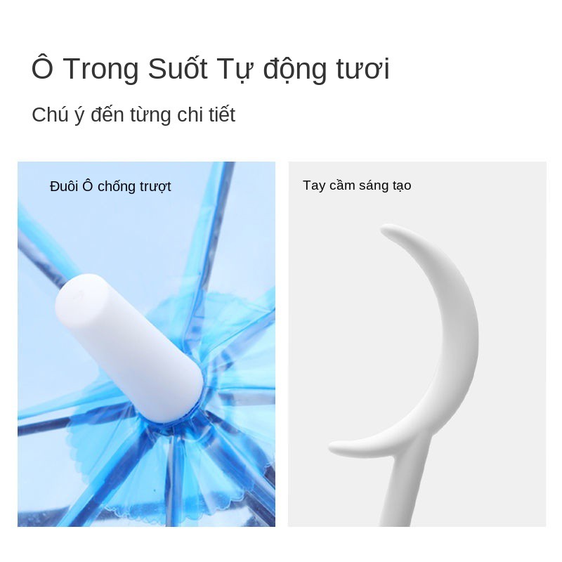 Chiếc ô đơn giản trong suốt màu trắng nữ sinh phiên bản Hàn Quốc lớn in rừng kép bán buôn tay cầm dài tự động