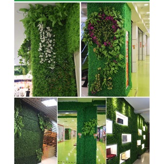 COMBO 14 TẤM CỎ CẢI XOONG NHÂN TẠO