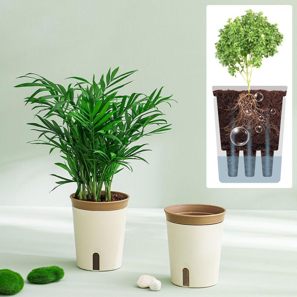 SUYO Chậu Trồng Cây Tự Hút Tiện Lợi