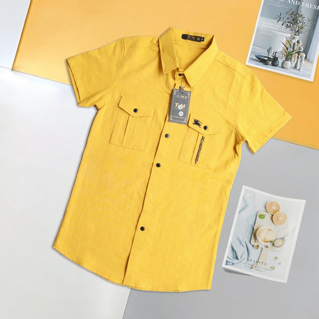 Áo Sơ Mi Nam Tay Ngắn Vải Đũi Thêu Ngựa Túi Hộp Có Đủ Màu Phong Cách Sang Trọng [NEW UNISEX]