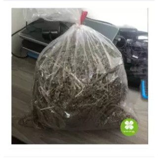 Cây mặt quỷ Cao Bằng (gói 1kg) - NDX039