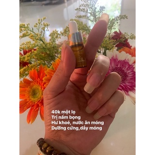 Nuôi dưỡng phục hồi móng hư tổn
