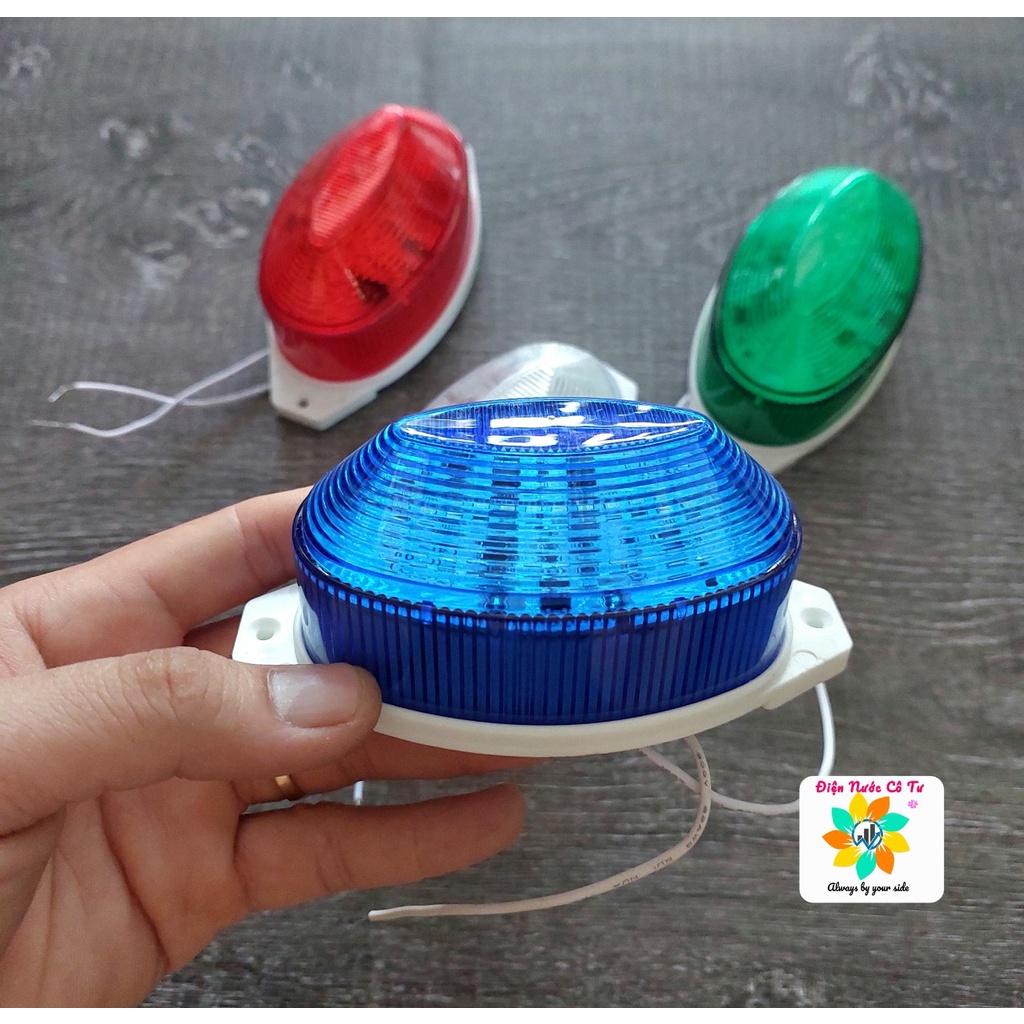 Đèn Chớp Rùa Trang Trí Ngoài Trời Trong Nhà