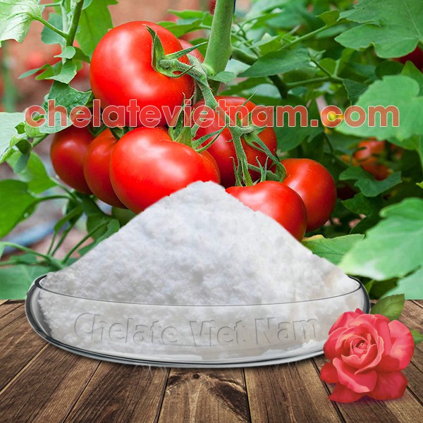 4-CPA-Na 98%  gói 100g