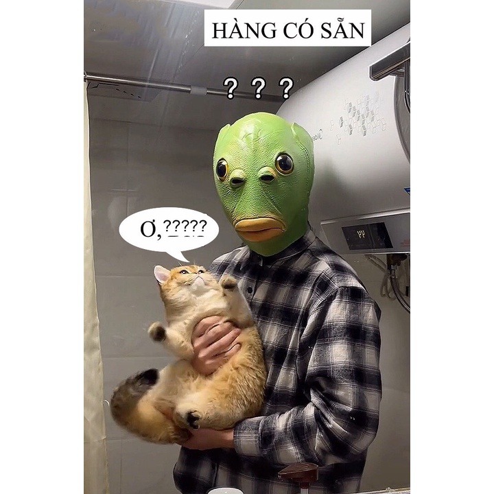 Mặt nạ tấu hài, mũ trùm đầu ngựa các loài động vật, hóa trang HALLOWEEN