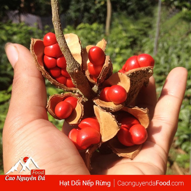 Combo: Mắc khén + hạt dổi nếp Tây Bắc, gia vị ướp thịt nướng