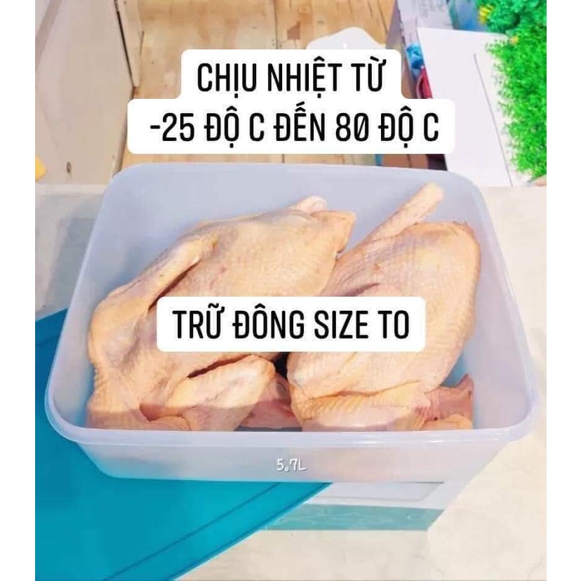 Hộp trữ đông trữ vừa nguyên con gà Tupperware 5.7L, chất liệu dẻo, nhựa nguyên sinh an toàn sức khỏe