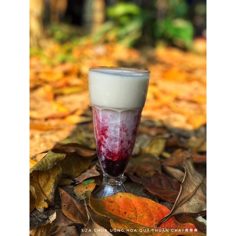 Men sữa chua thuần chay hạnh phúc/Men làm sữa chua | BigBuy360 - bigbuy360.vn