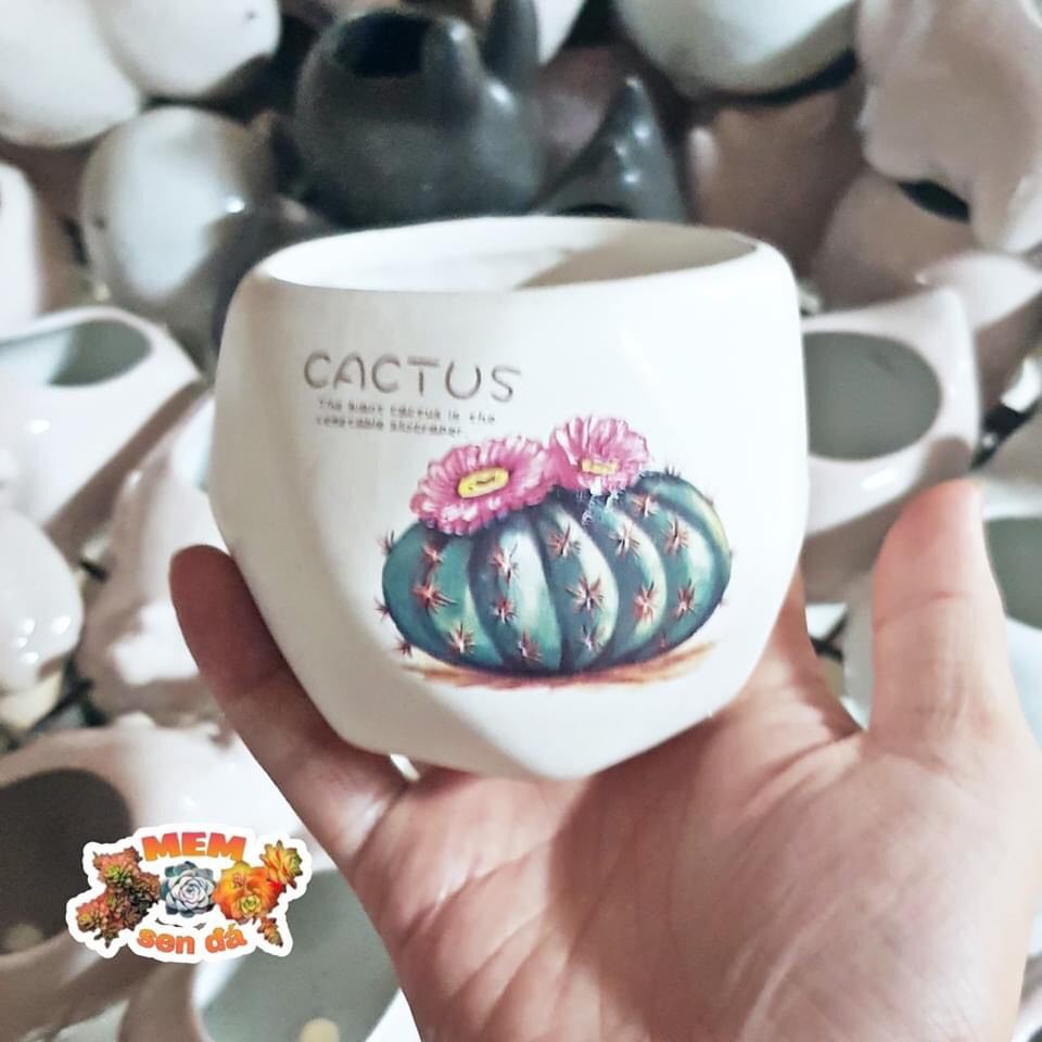 Chậu sứ kim cương nhỏ in hình |FREESHIP  SIÊU XINH | LỖI 1 ĐỔI 1