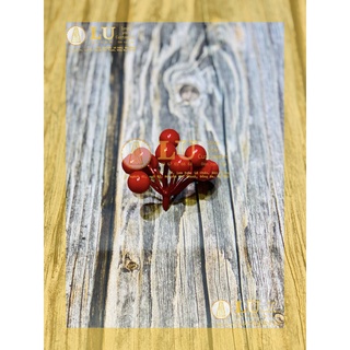 Chùm cherry trang trí oản, giỏ hoa quà | LU