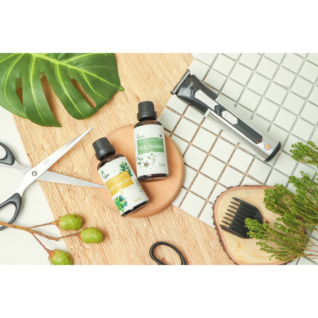 Tinh dầu xông Trà Trắng Queen Oils Cao Cấp,100% Thiên Nhiên, Thanh lọc, tạo không gian mát mẻ, dễ chịu, Chai 50ml