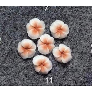 hoa đậu - hoa bột