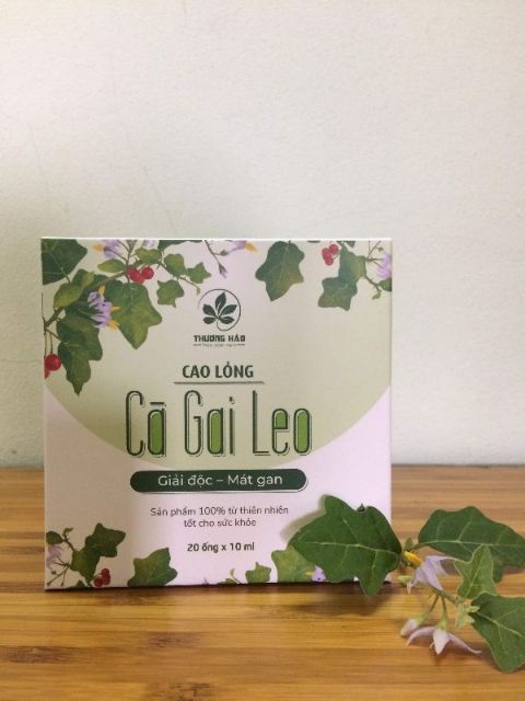 Trà Cà gai leo Hòa Bình dạng cao ống 10ml
