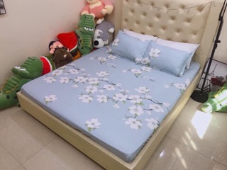 Bộ ga gối cotton polly (ảnh thật)