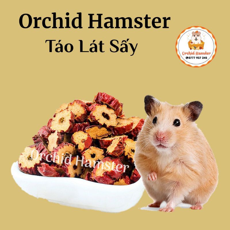 Táo Khô Thức Ăn Dặm Hamster