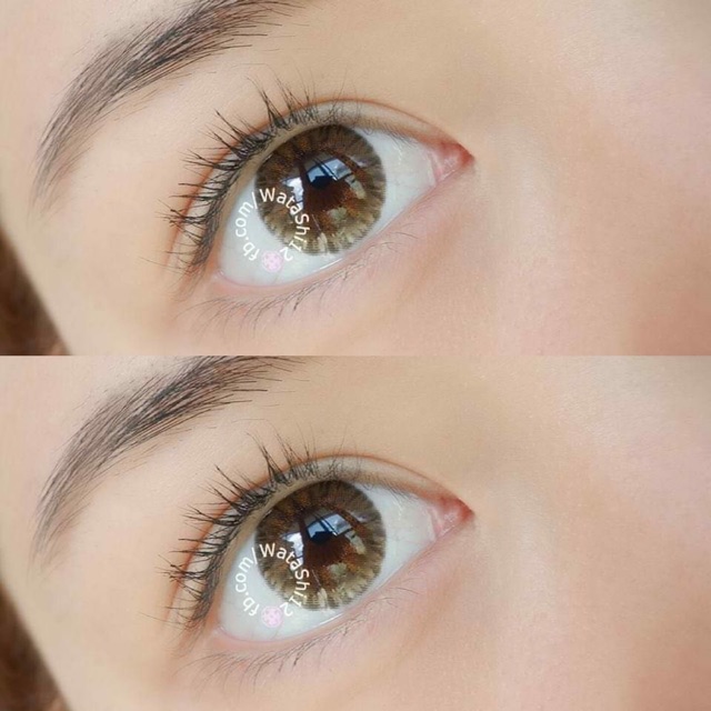 Kính áp tròng thái lan- boophae brown lens