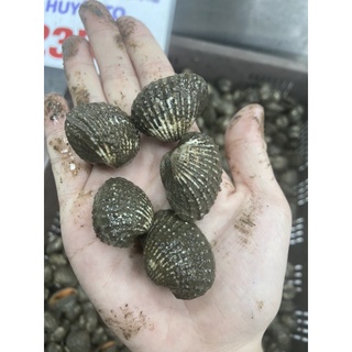 sò huyết tự nhiên