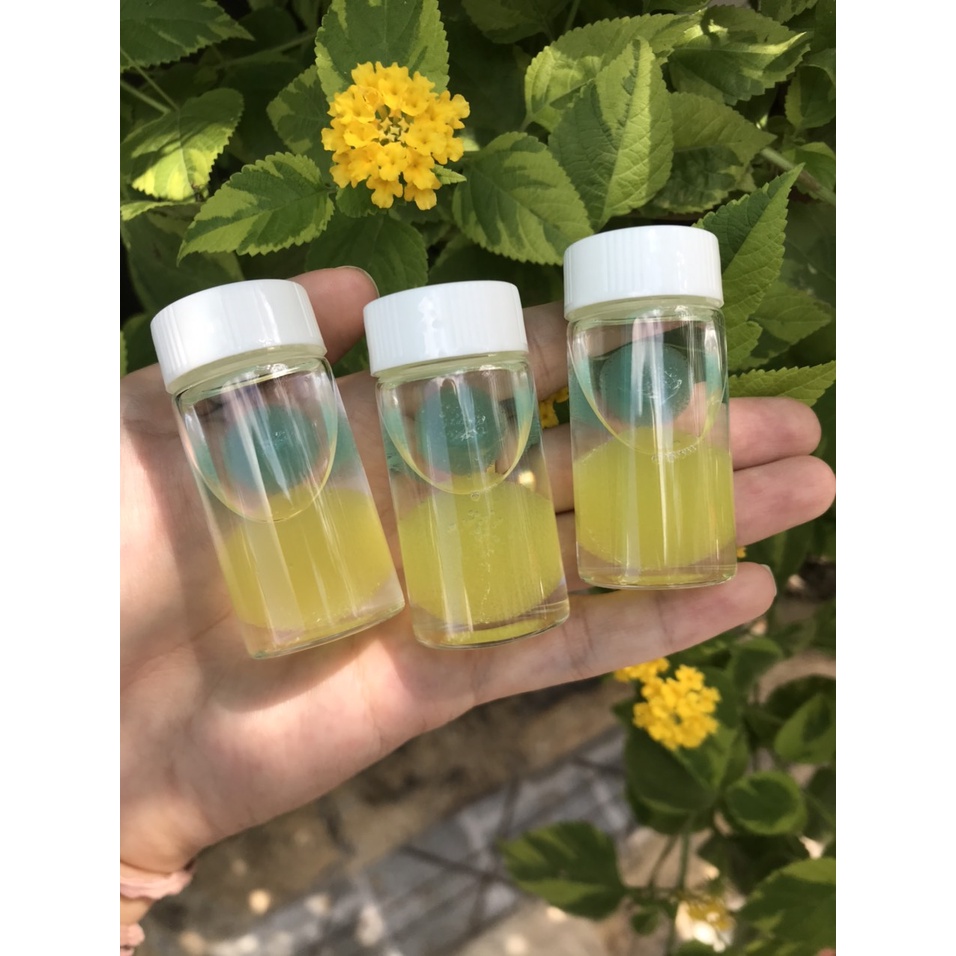 Chai vệ sinh nhíp có mút