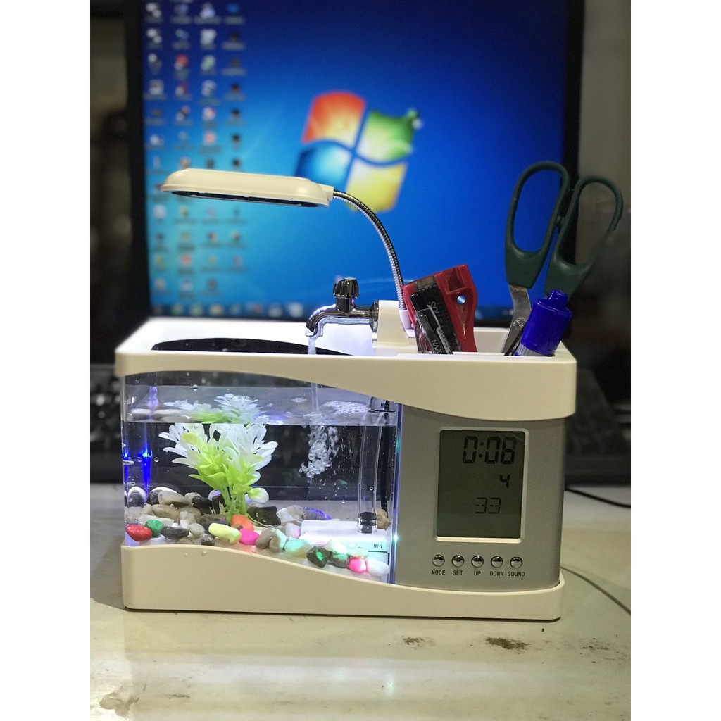 Bể cá mini để bàn cực xinh