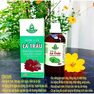 NƯớc cất lá trầu không chcd