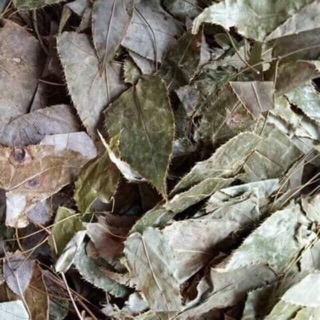Lá dâm dương hoắc /500g