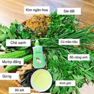 Combo Sữa tắm tràm trà Greenbon