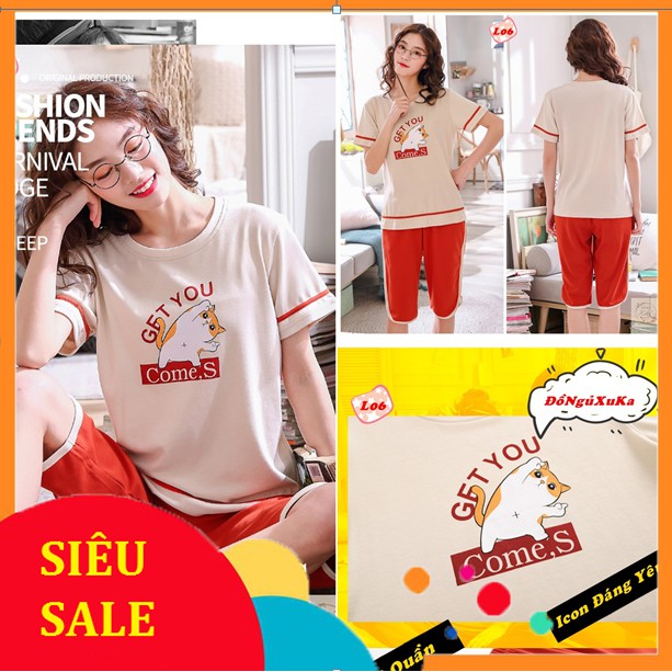Bộ đồ ngủ - Đồ mặc nhà Cao cấp 100% cotton L1 | BigBuy360 - bigbuy360.vn